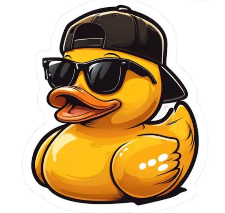 DuckInside Collectors